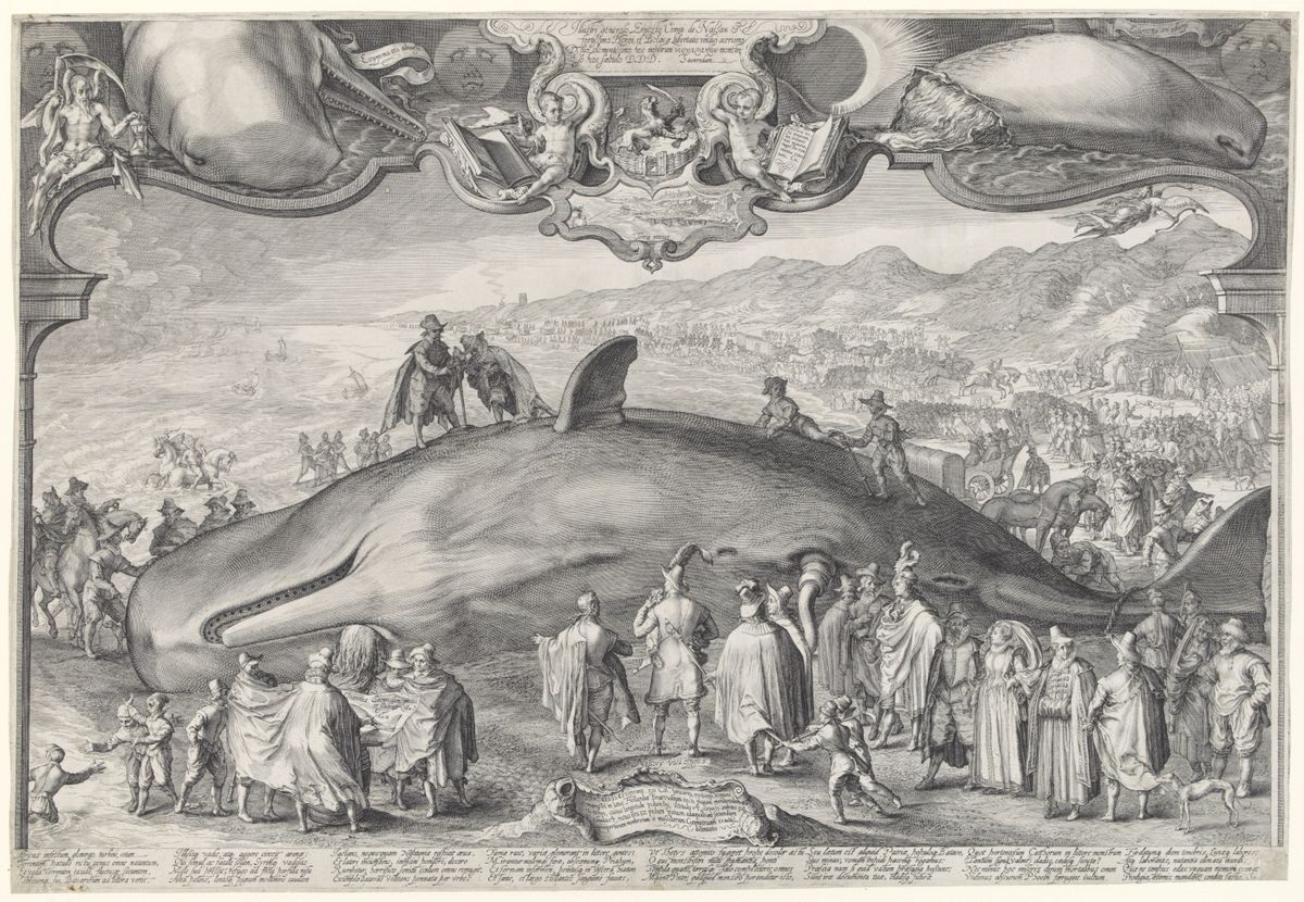 A detailed black and white engraving depicting a large whale beached on a shore, surrounded by a crowd of people.