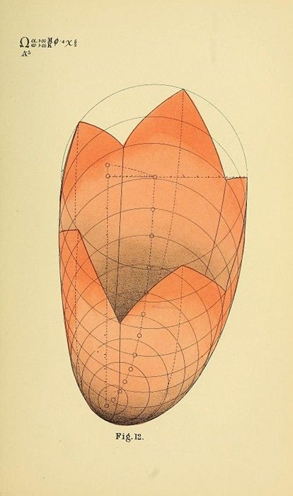 Vintage scientific diagram of a complex geometric shape with orange fill and grid-like lines.