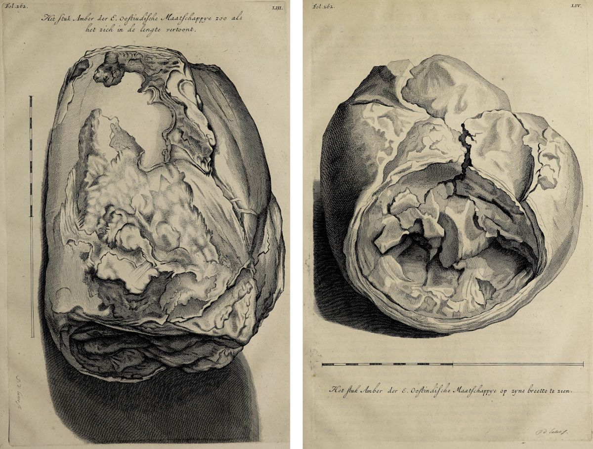 Two vintage medical illustrations of a human brain with a large tumor.