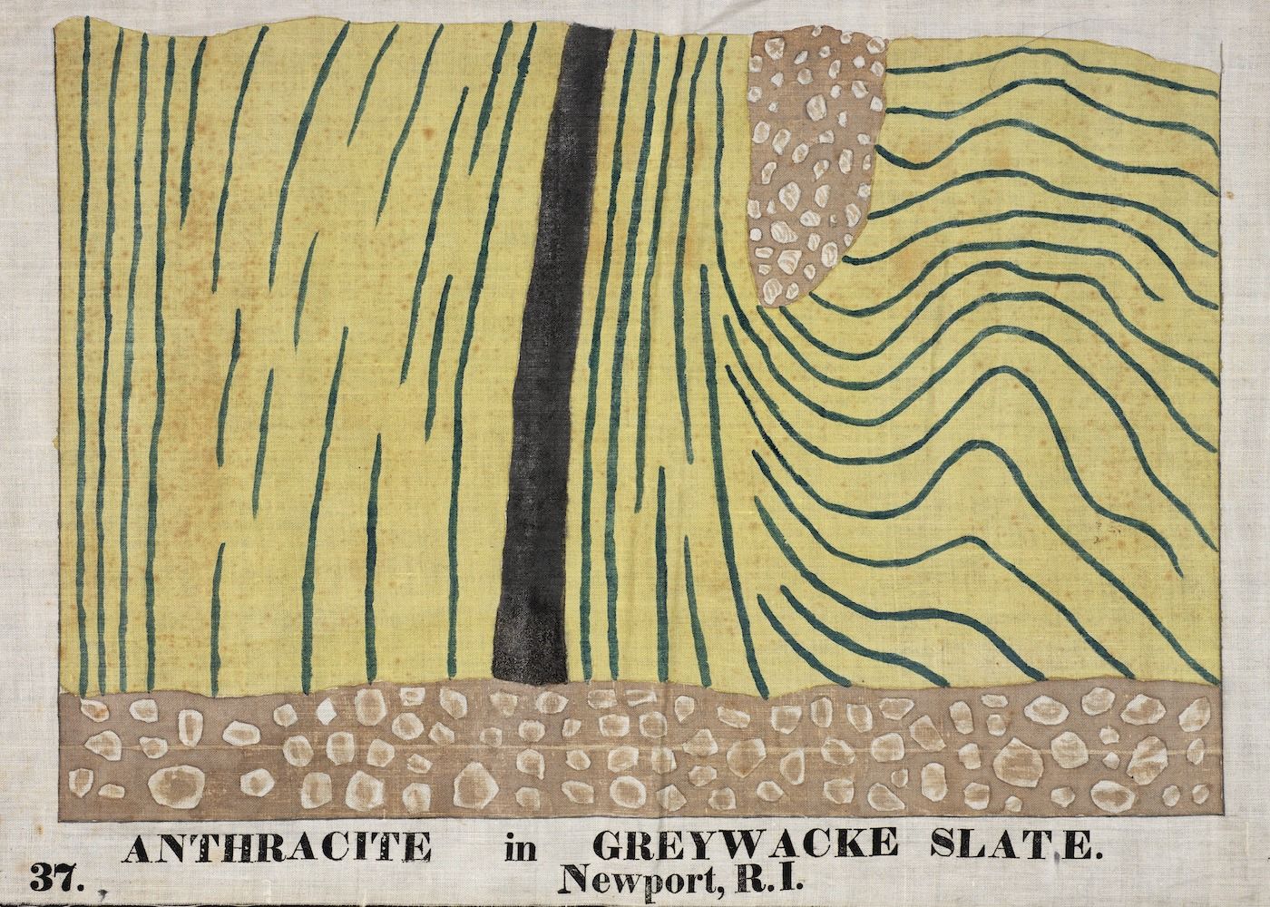Vintage illustration of anthracite in greywacke slate, showing layered anthracite on the left, a dark central stripe, and wavy greywacke slate on the right. Text label at the bottom reads "ANTHRACITE in GREYWACKE SLATE. Newport, R.I."