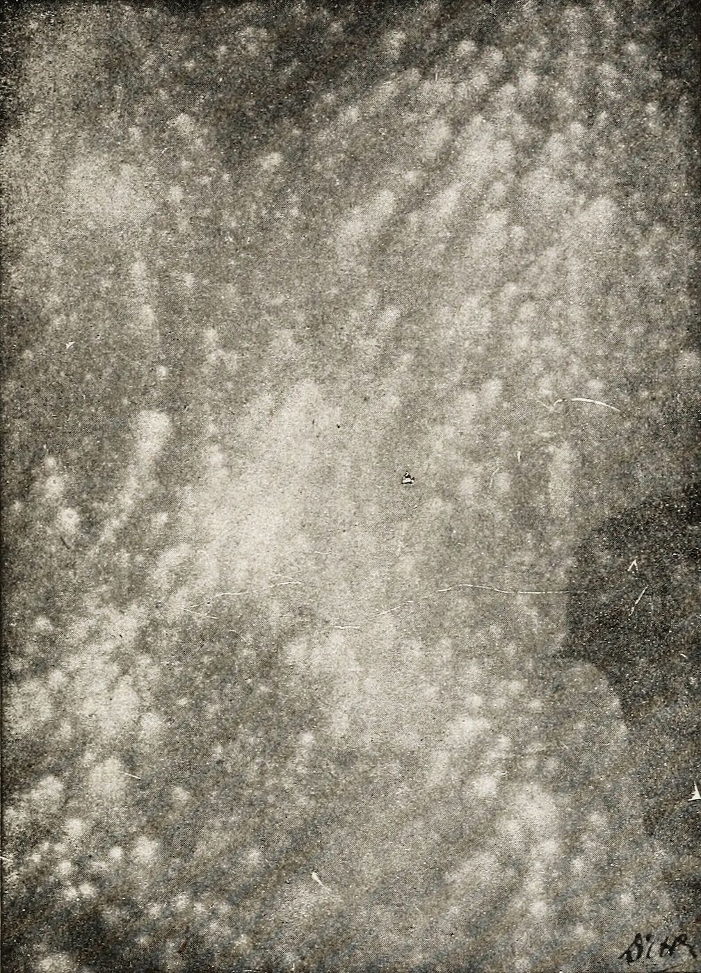 Vintage black and white photograph of a spiral galaxy with a bright core and numerous faint stars.