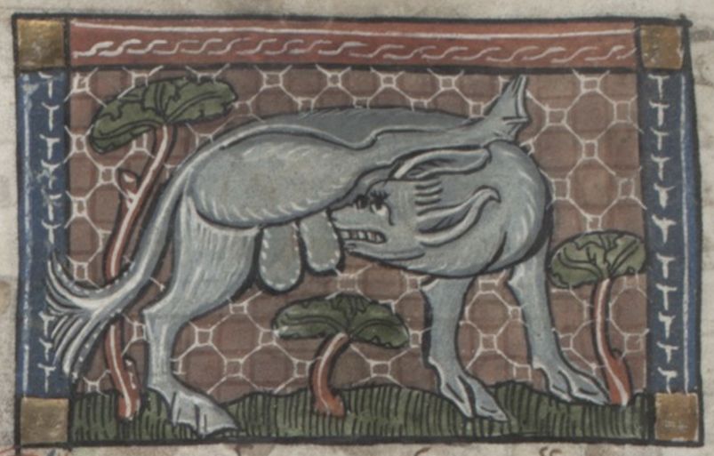 Medieval manuscript illustration of a unicorn being attacked by a wolf-like creature.