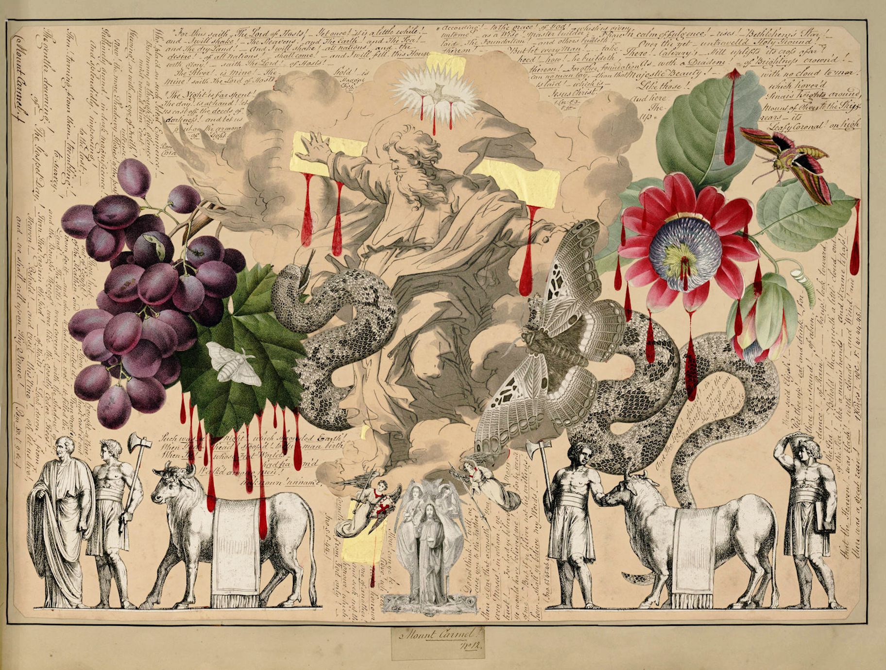 A vintage-style illustration featuring a fantastical arrangement of animals, plants, and insects on aged paper with dense text.