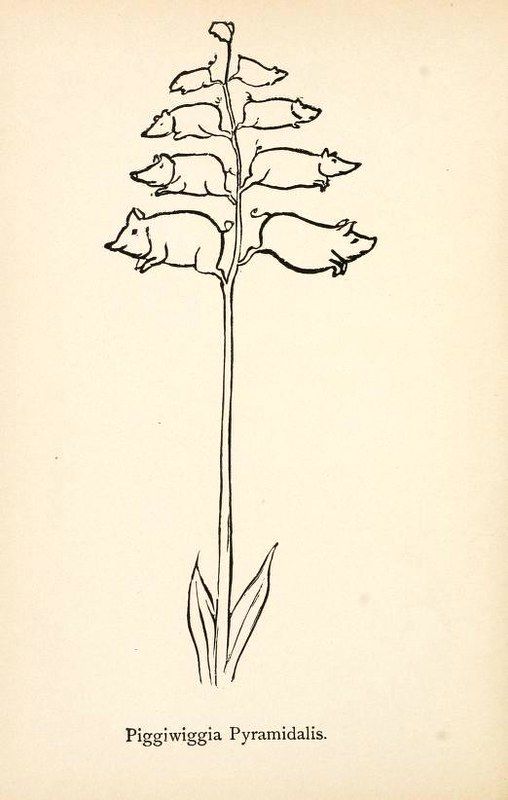 Vintage botanical illustration of a plant with pig heads instead of flowers, labeled 'Piggiwiggia Pyramidalis'.