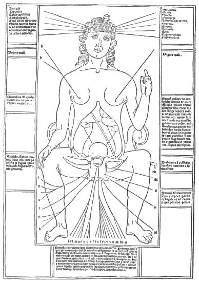 A black and white illustration of a human body diagram with radiating lines and Latin text labels.
