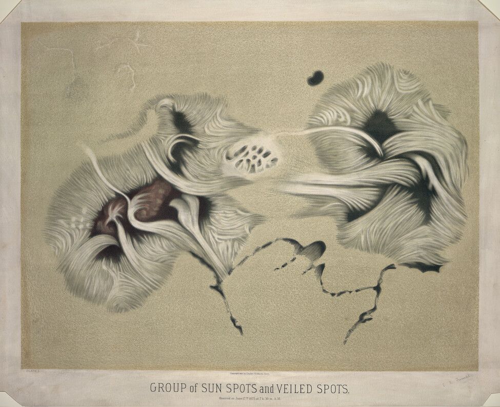 Vintage lithograph of a group of sunspots and veiled spots, rendered in shades of brown and white with intricate linework.