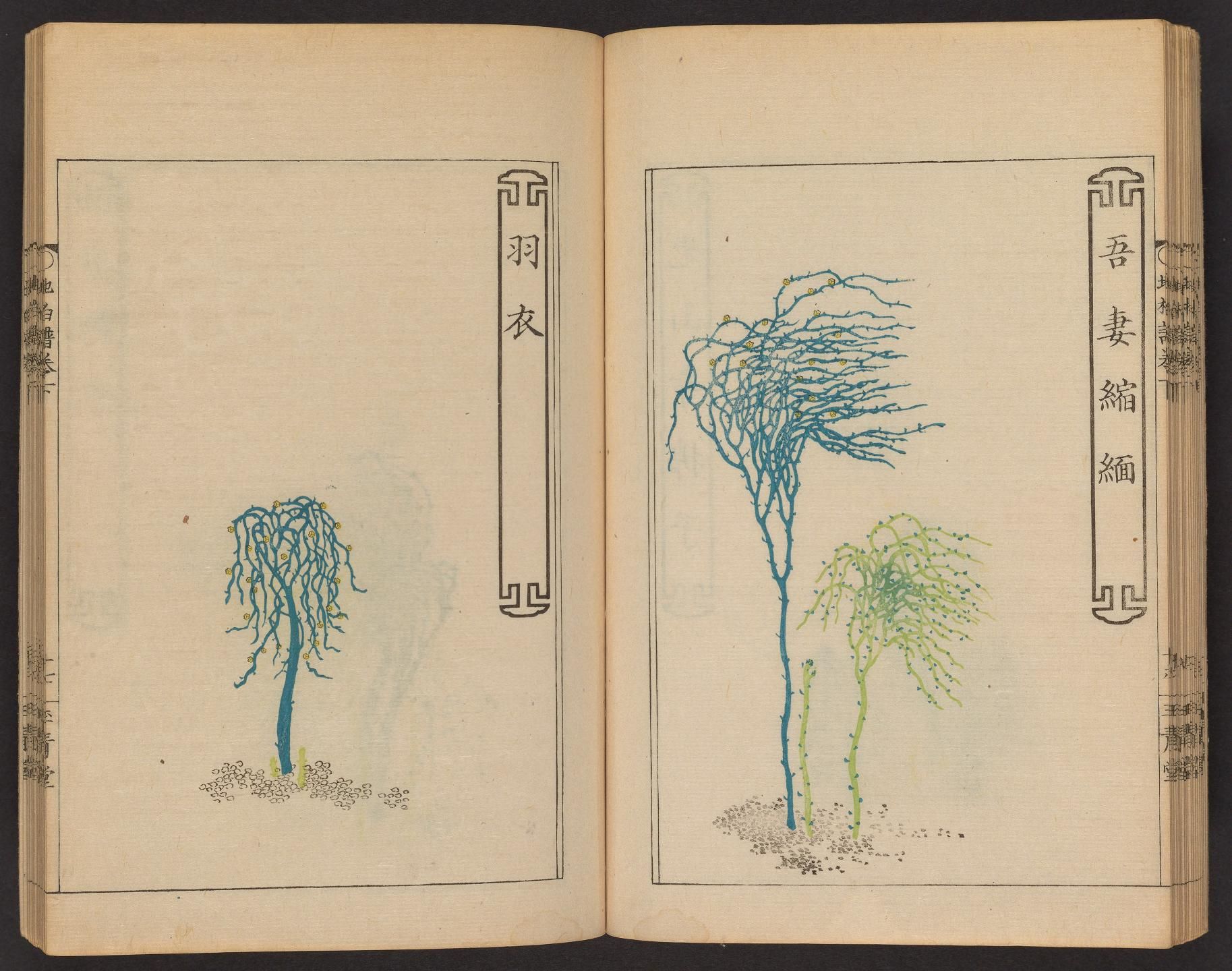 Open book with two pages, each featuring a detailed illustration of a tree in a traditional East Asian style.