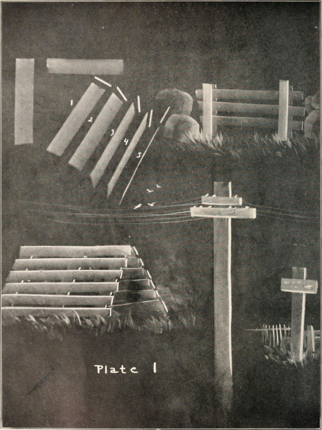 A black and white photograph of a constructed scene with wooden structures resembling steps, ladders, telephone poles, and a fence.