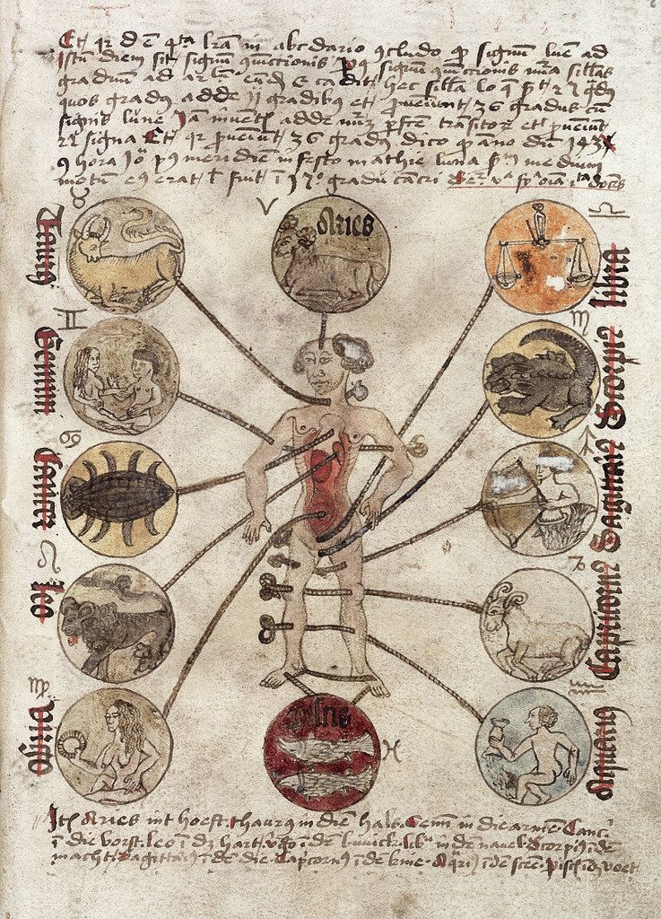 A detailed, antique astrological chart with a nude man in the center connected to the twelve zodiac signs by lines. The chart is covered in handwritten text and rendered in a medieval style.