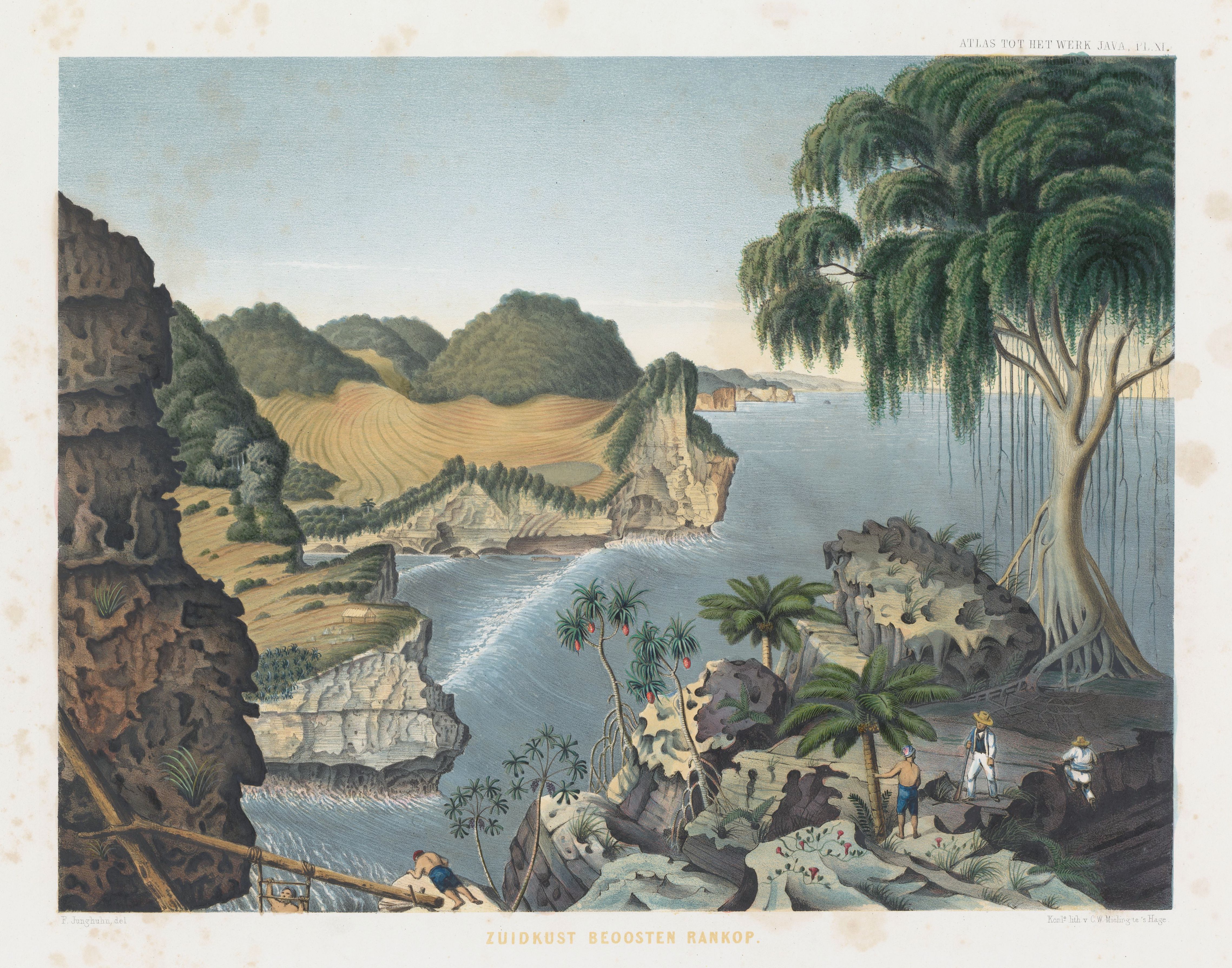 Vintage lithograph of a coastal landscape with a cliff, waterfall, and lush vegetation.