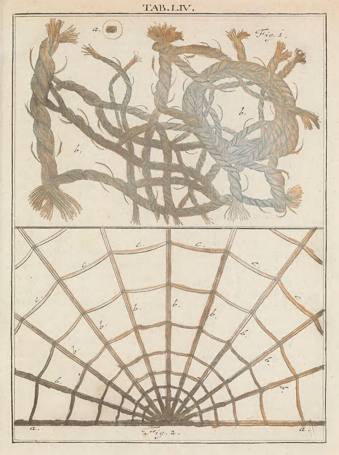 A vintage scientific illustration with two sections. The top section shows three intertwined fibrous structures with labels 'a' and 'b'. The bottom section features a geometric diagram of curved lines radiating from a central point, labeled 'a', 'b', and 'c'.