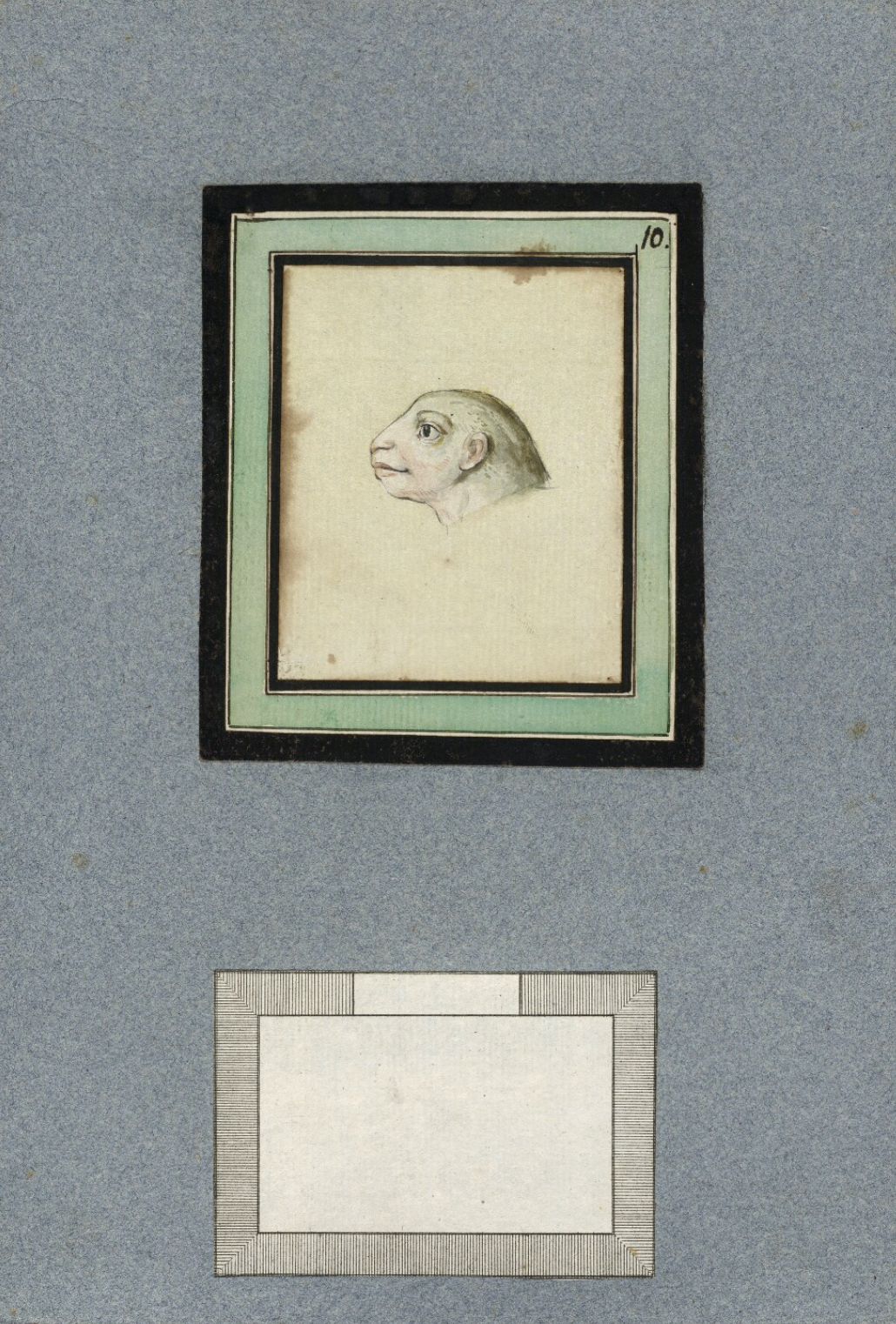 A vintage drawing of a monkey's head in a layered frame, with an empty rectangular space below.