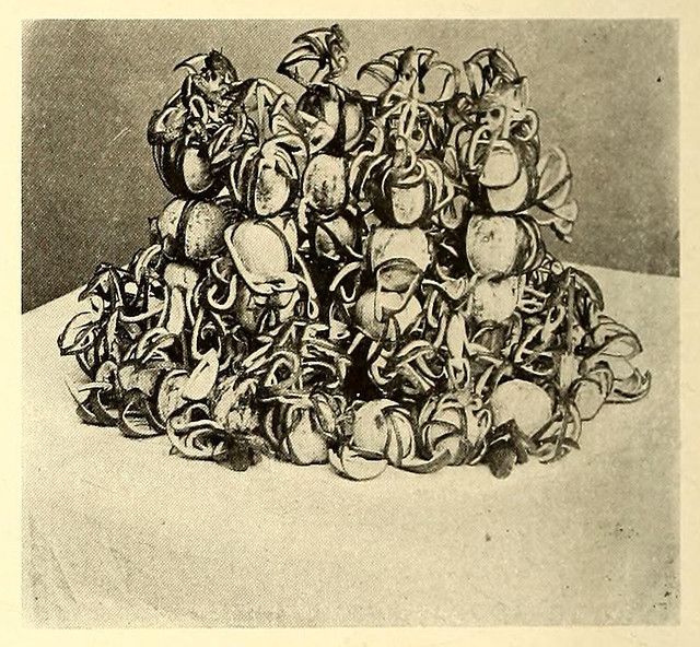 A black and white illustration of a large pile of barnacles.