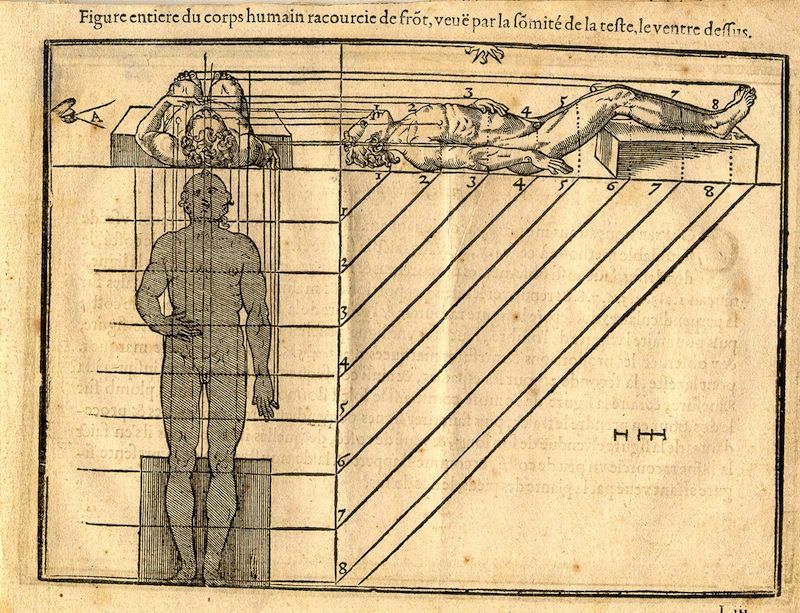 Vintage anatomical illustration of a nude male figure and a diagrammatic reclining body with radiating lines.