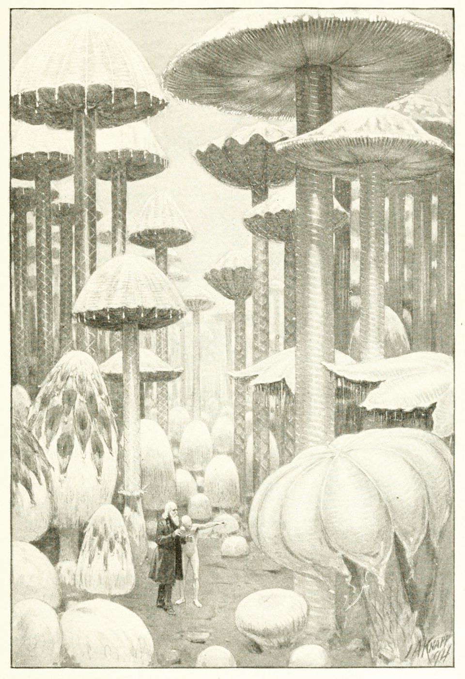 A black and white illustration of a fantastical forest filled with giant mushrooms. Three small figures stand in the foreground, surrounded by mushroom-like growths.