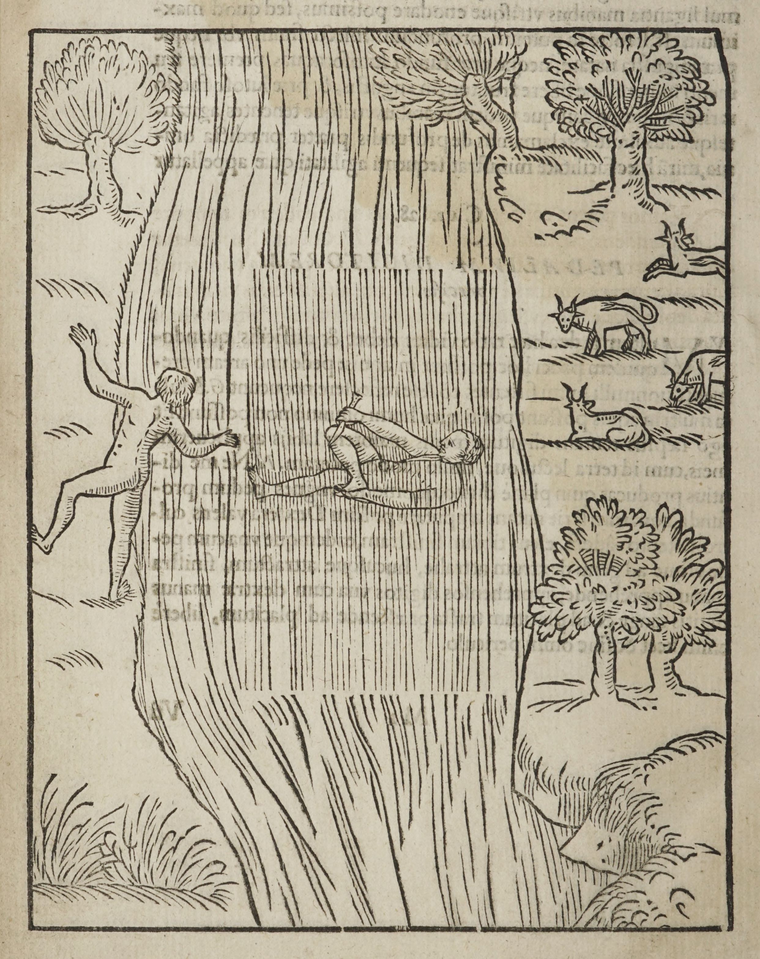 A black and white woodcut illustration depicting a large tree with two nude male figures interacting with it. One figure is climbing, while the other is falling. A small scene with animals is visible in the upper right corner.