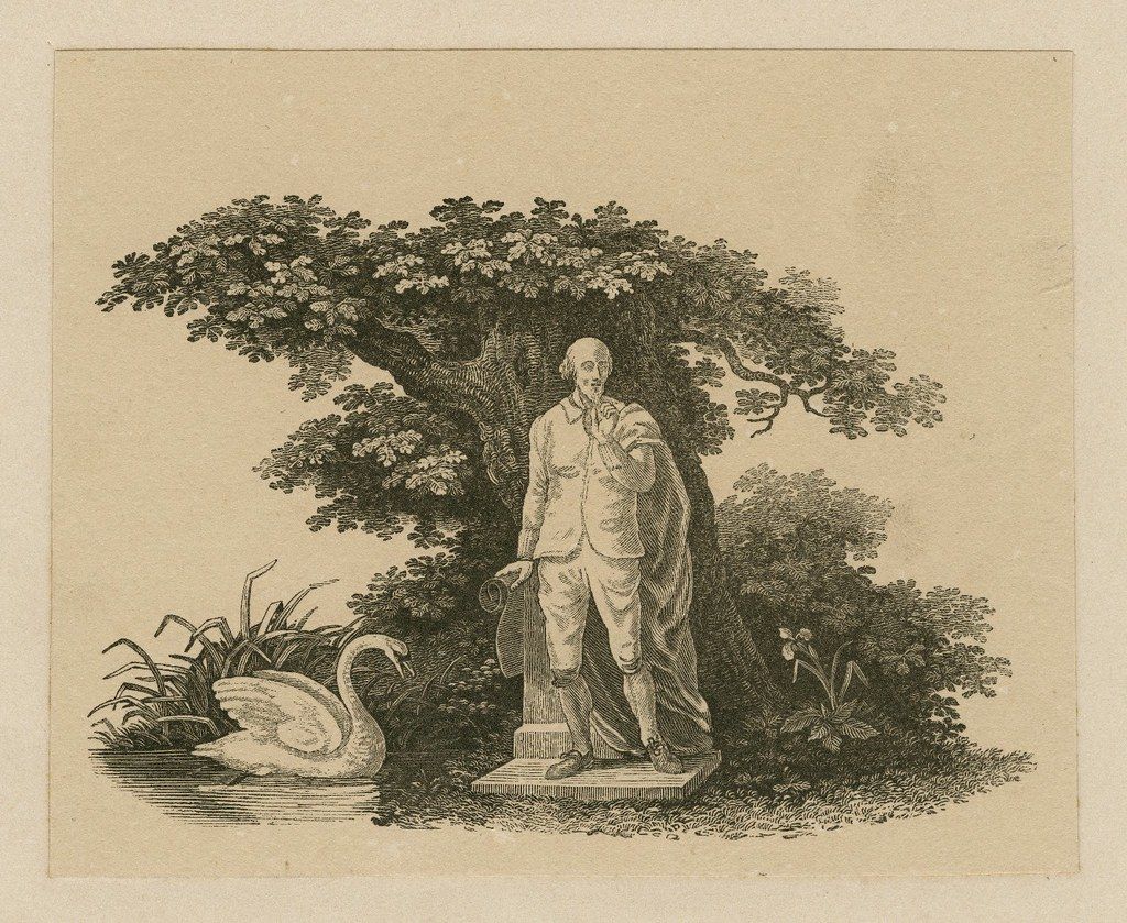 Vintage engraving of a statue of a man standing in front of a tree with a swan swimming in a pond.