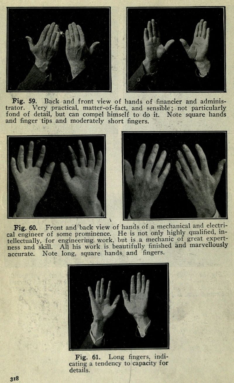 A vintage black and white photograph featuring hand studies labeled as belonging to a financier, administrator, and mechanical engineer. The hands are shown in front and back views, with descriptions focusing on finger length and shape as indicators of personality and skill.