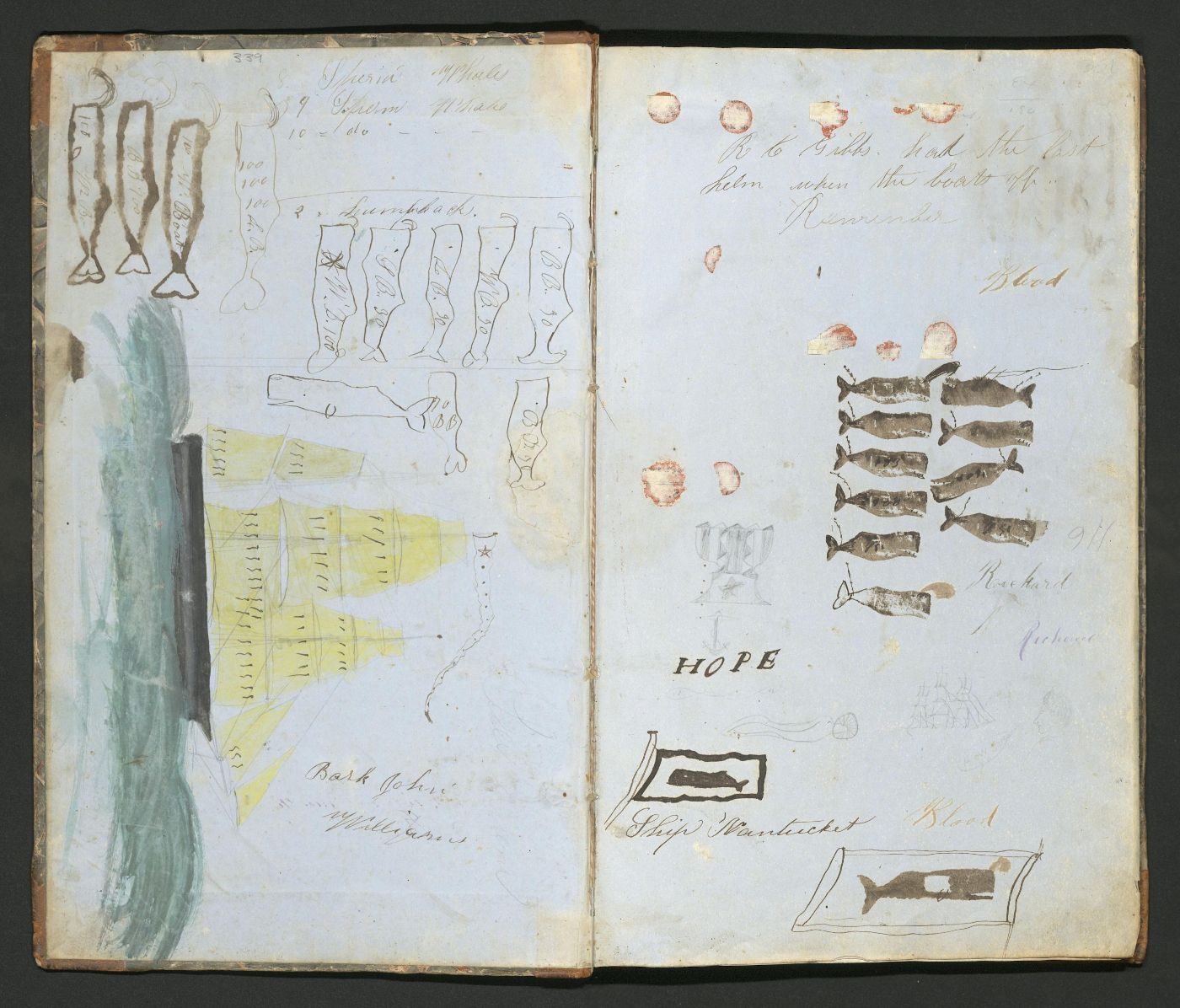 A two-page spread from a vintage book or journal with drawings of ships, whales, and fish, accompanied by handwritten notes and labels.