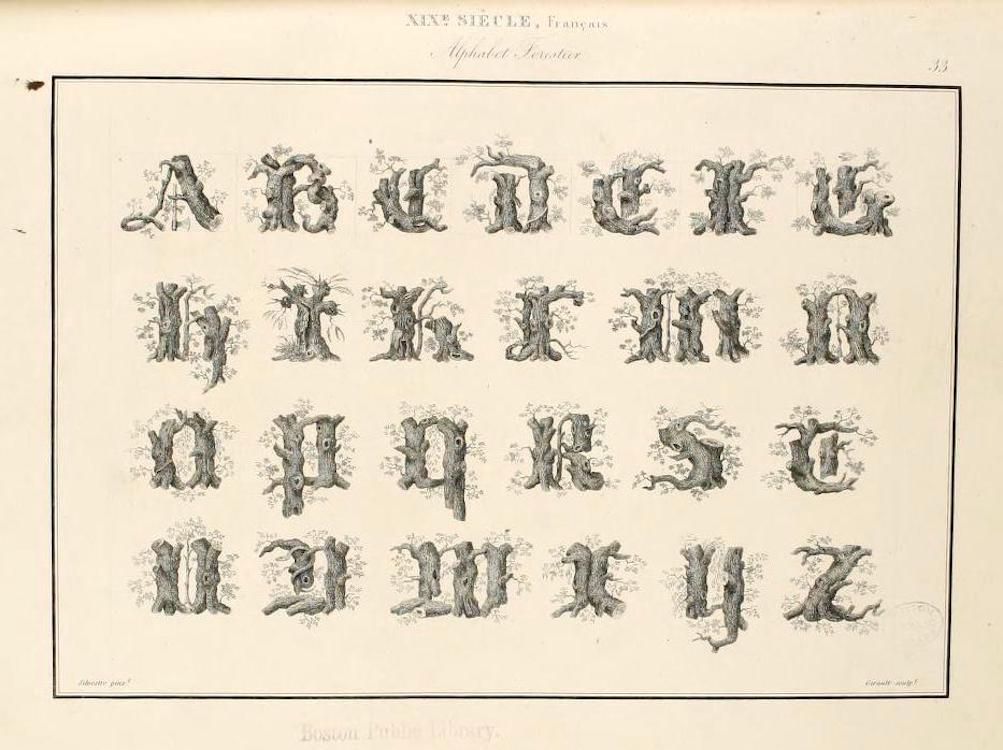 A vintage alphabet chart with each letter formed by the shape of a tree trunk and branches.