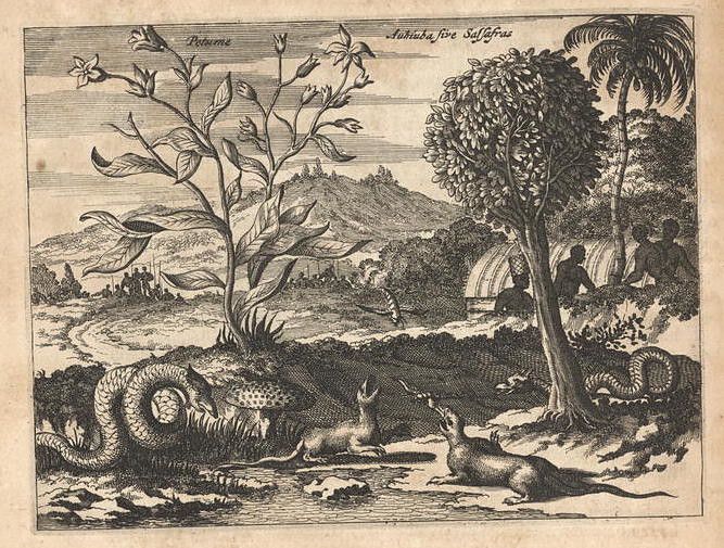 A black and white engraving of a fantastical landscape with a large plant, a coiled snake, deer, and people.