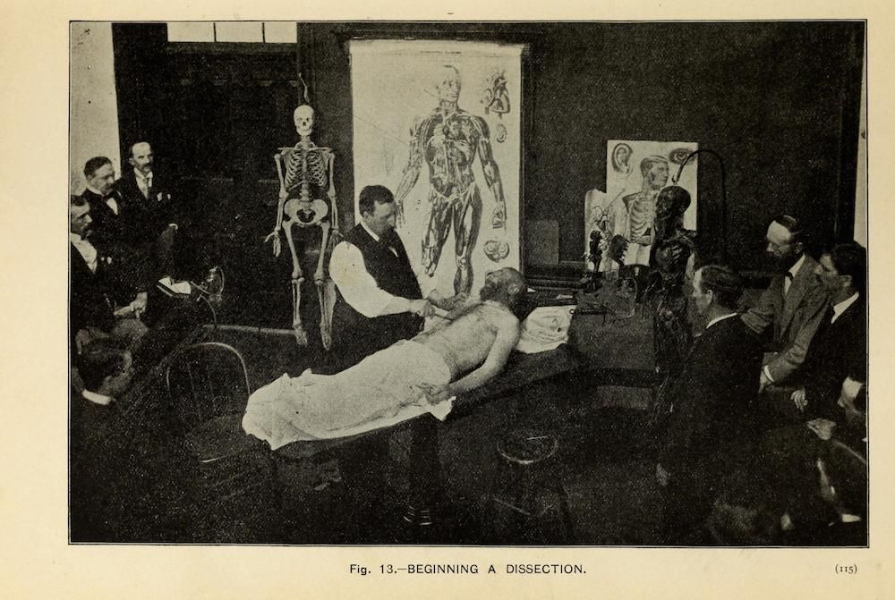 A black and white photograph of a medical anatomy class in the midst of a dissection.