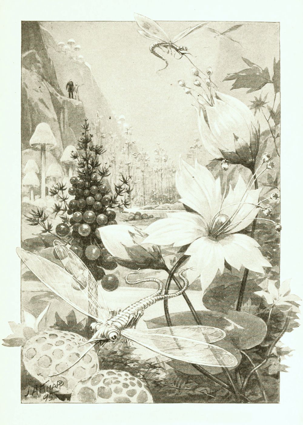 A detailed black and white illustration of a dragonfly resting on a spotted leaf, with flowers, mushrooms, and a distant landscape with two figures on a cliff.