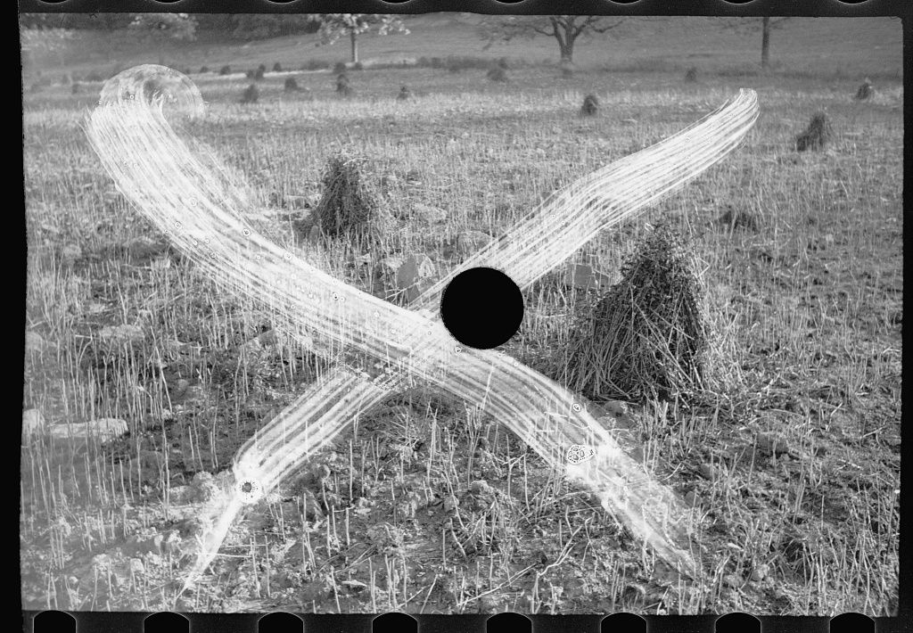 A black and white photograph of a field with a branch in the shape of an 'X' and a black circle at the center.