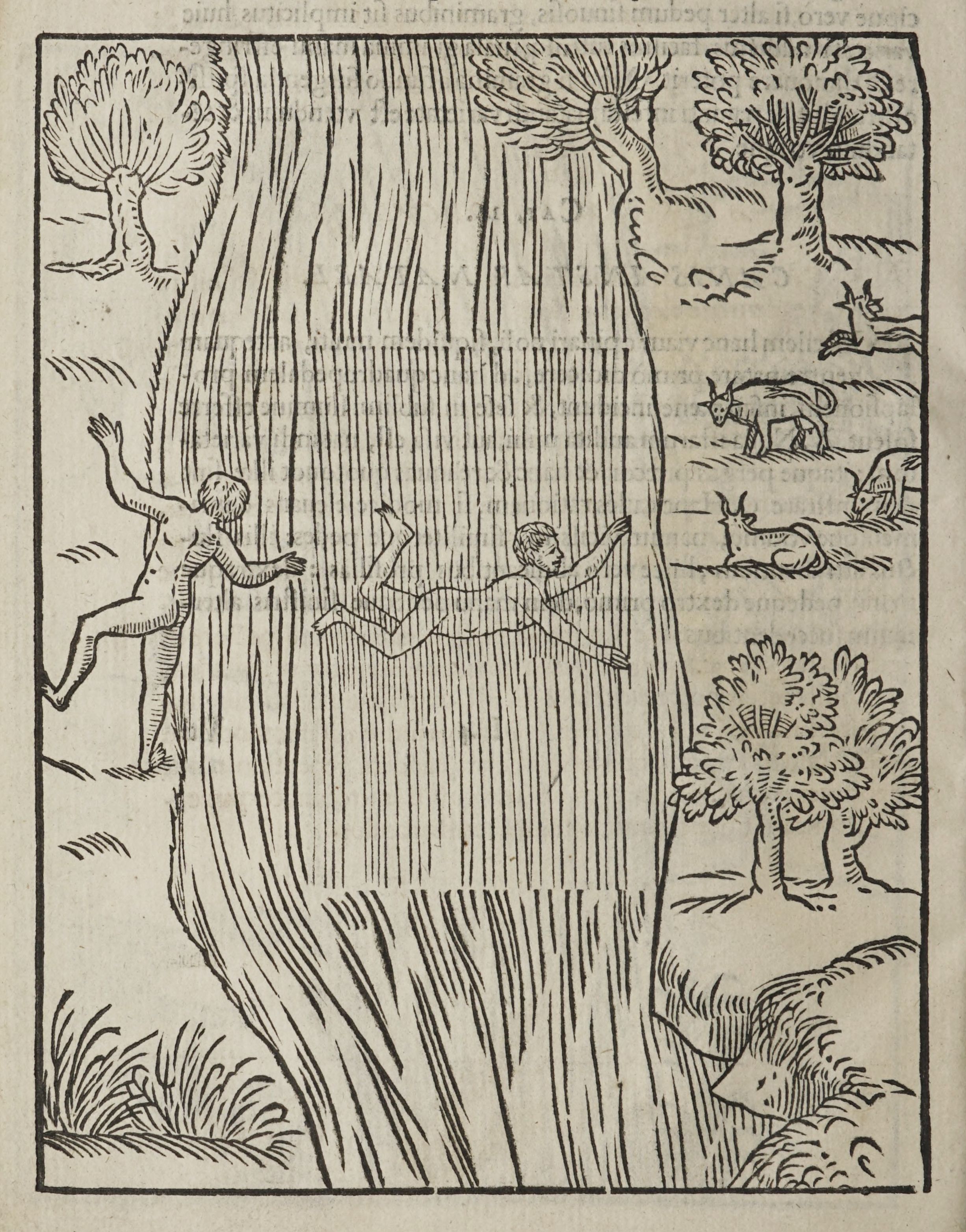 A vintage woodcut illustration depicting two nude figures falling or flying through the air, surrounded by trees, birds, and a textured background.