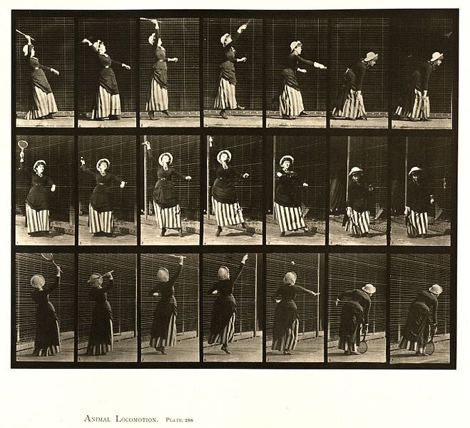 A black and white photographic study titled 'Animal Locomotion, Plate 296' showing a person throwing a ball in a sequence of images.
