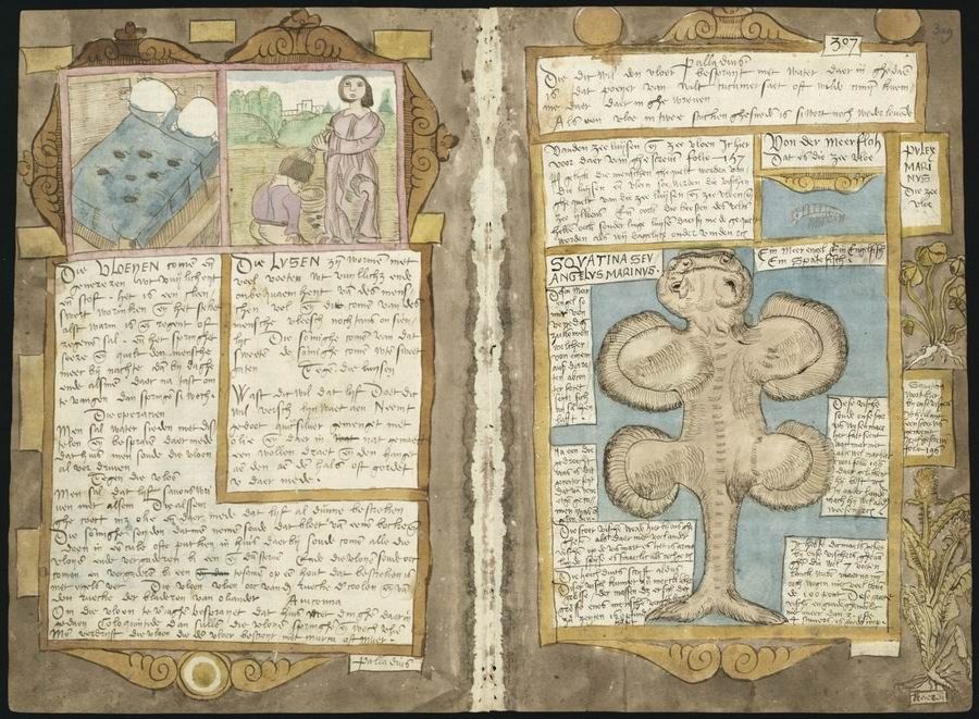 Open page from a medieval manuscript with illustrations and handwritten text.