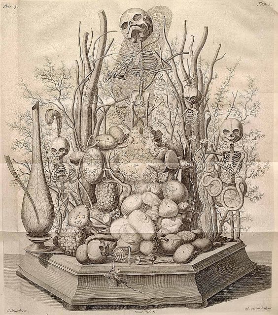A detailed black and white engraving of a vanitas still life with skeletons, skulls, decaying fruit, and a bottle on a pedestal.