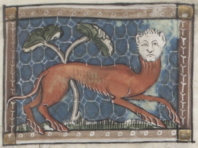 Medieval manuscript illumination of a two-headed lion-like creature lying on grass, framed by a decorative border.