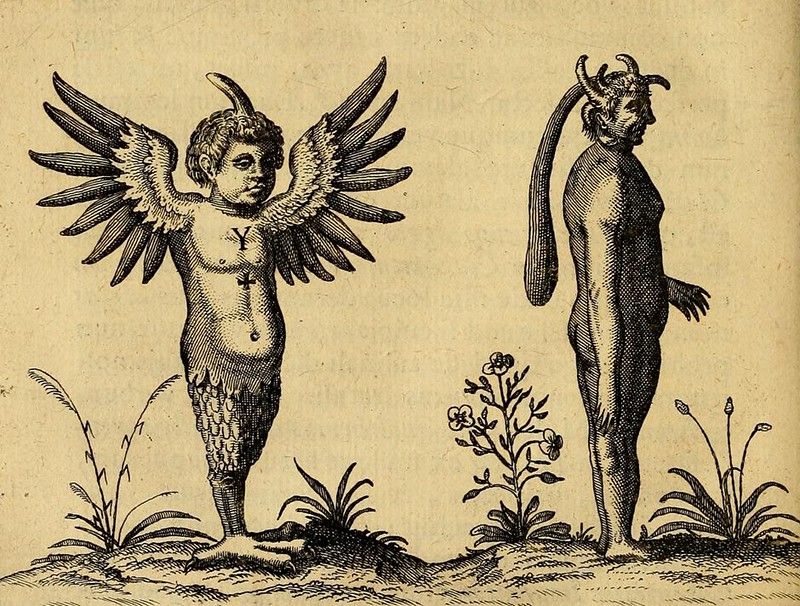 Vintage engraving of two fantastical figures, one angelic with wings and bird legs, the other demonic with horns and a tail, standing among plants.