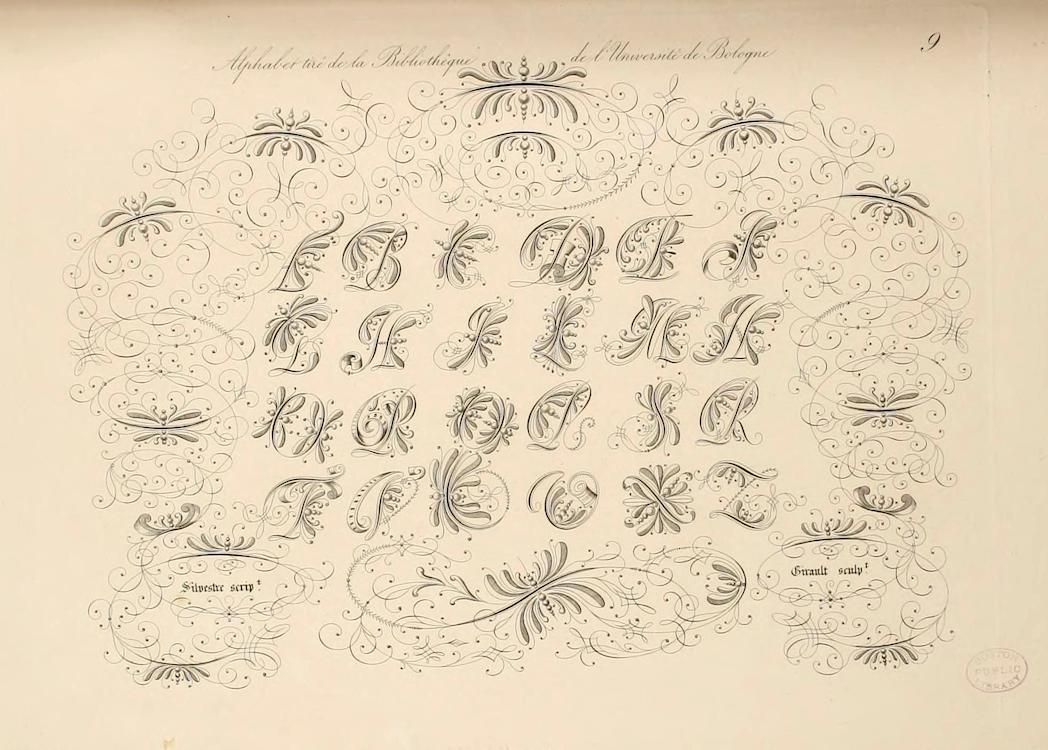 A page from a book or manuscript showcasing an ornate alphabet with intricate flourishes and decorative elements.