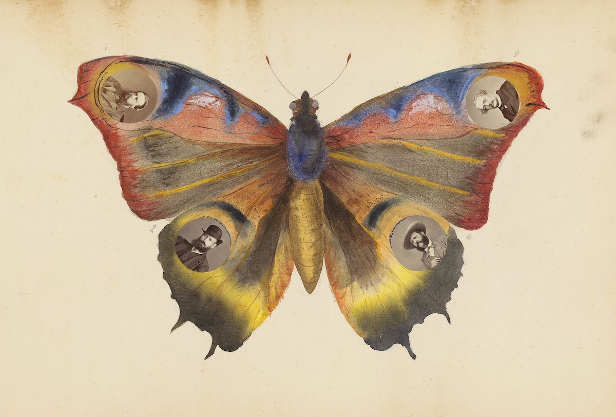 A vintage-style butterfly with portraits of men in hats embedded in its wings.
