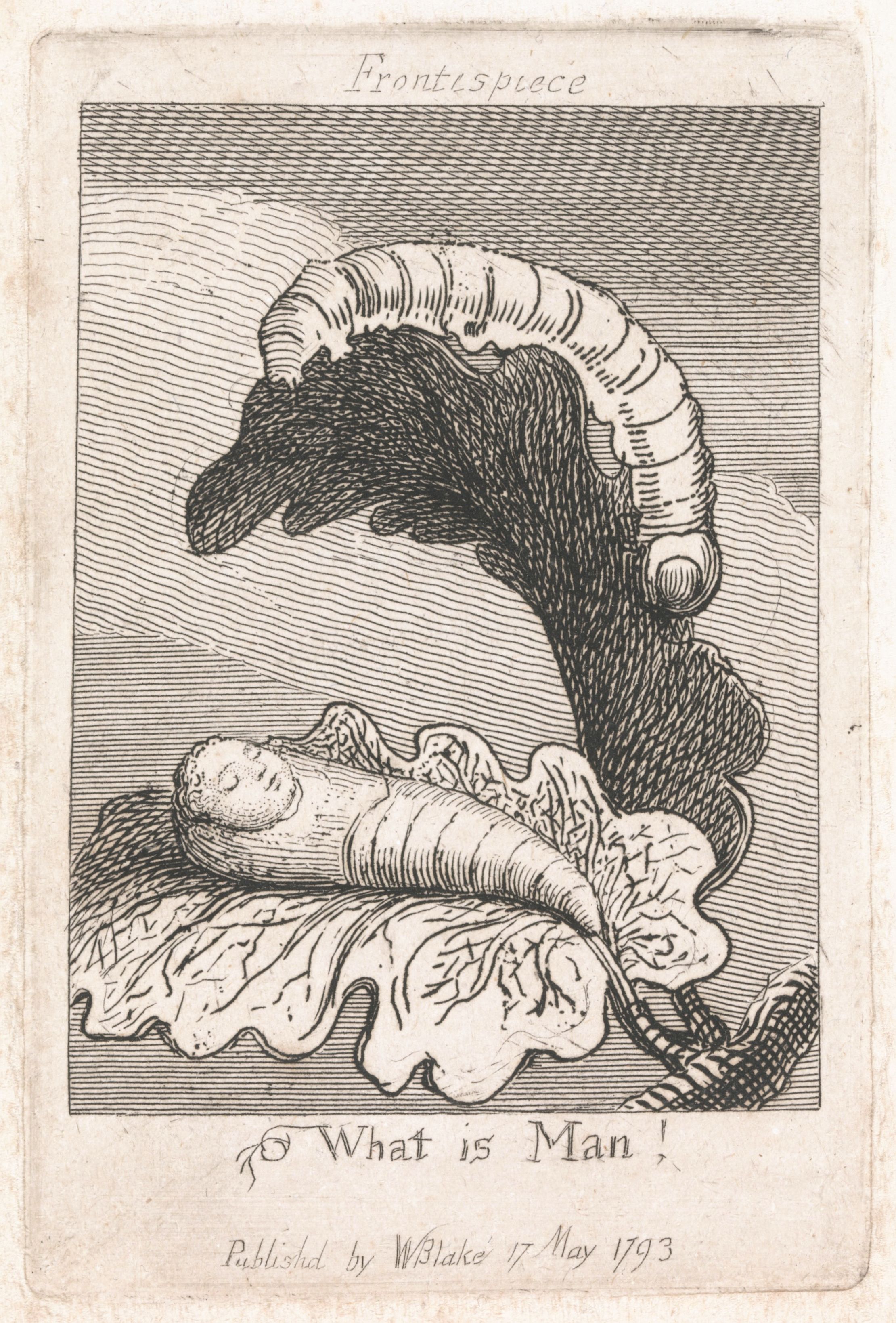 A black and white engraving titled 'Frontispiece' by William Blake, published on May 17, 1793. The image depicts a reclining human figure, seemingly a man, lying on a cloud-like or rocky formation. Above and behind the figure is a large, swirling, cloud-like form that dominates the upper portion of the image. The text 'What is Man?' is written below the image.