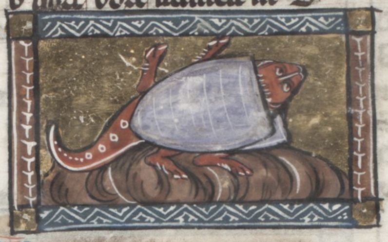 Medieval illustration of a turtle-like creature with a large blue shell resting on a textured ground, framed by a decorative border.