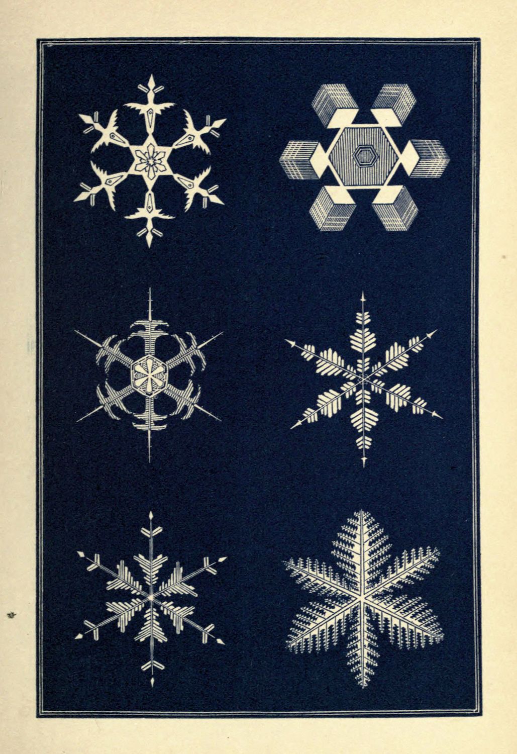 Vintage illustration of six unique snowflake designs in a 2x3 grid against a dark background.