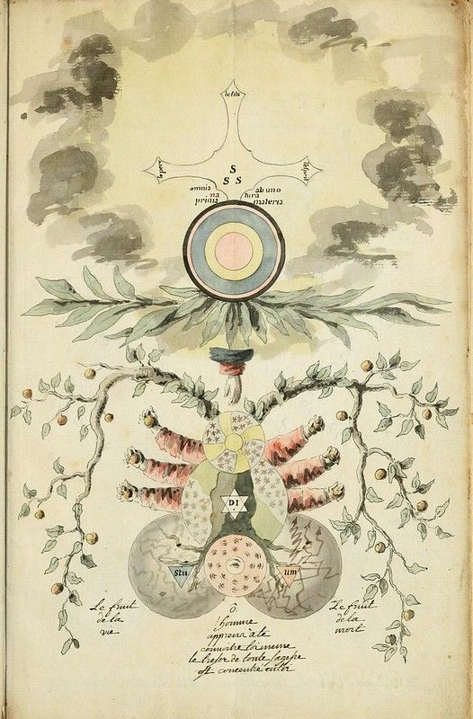 Vintage illustration of a tree with a circular diagram above and handwritten text below.