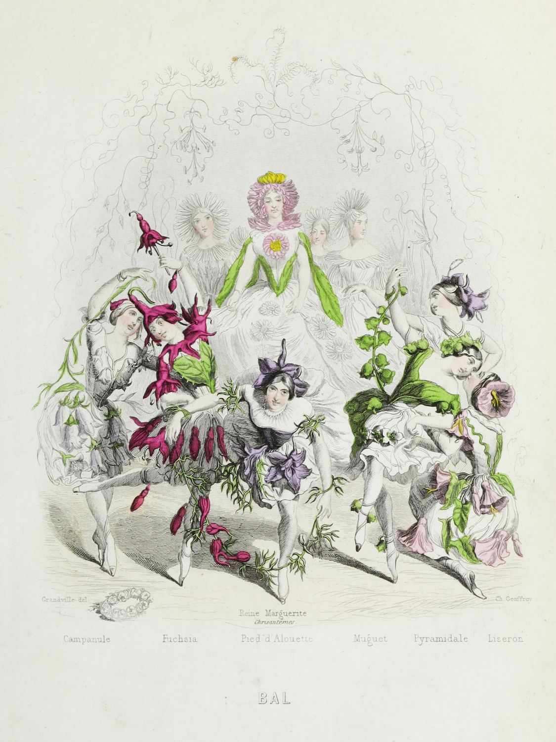 Vintage illustration of fairies dancing among flowers, with delicate linework and botanical detail.