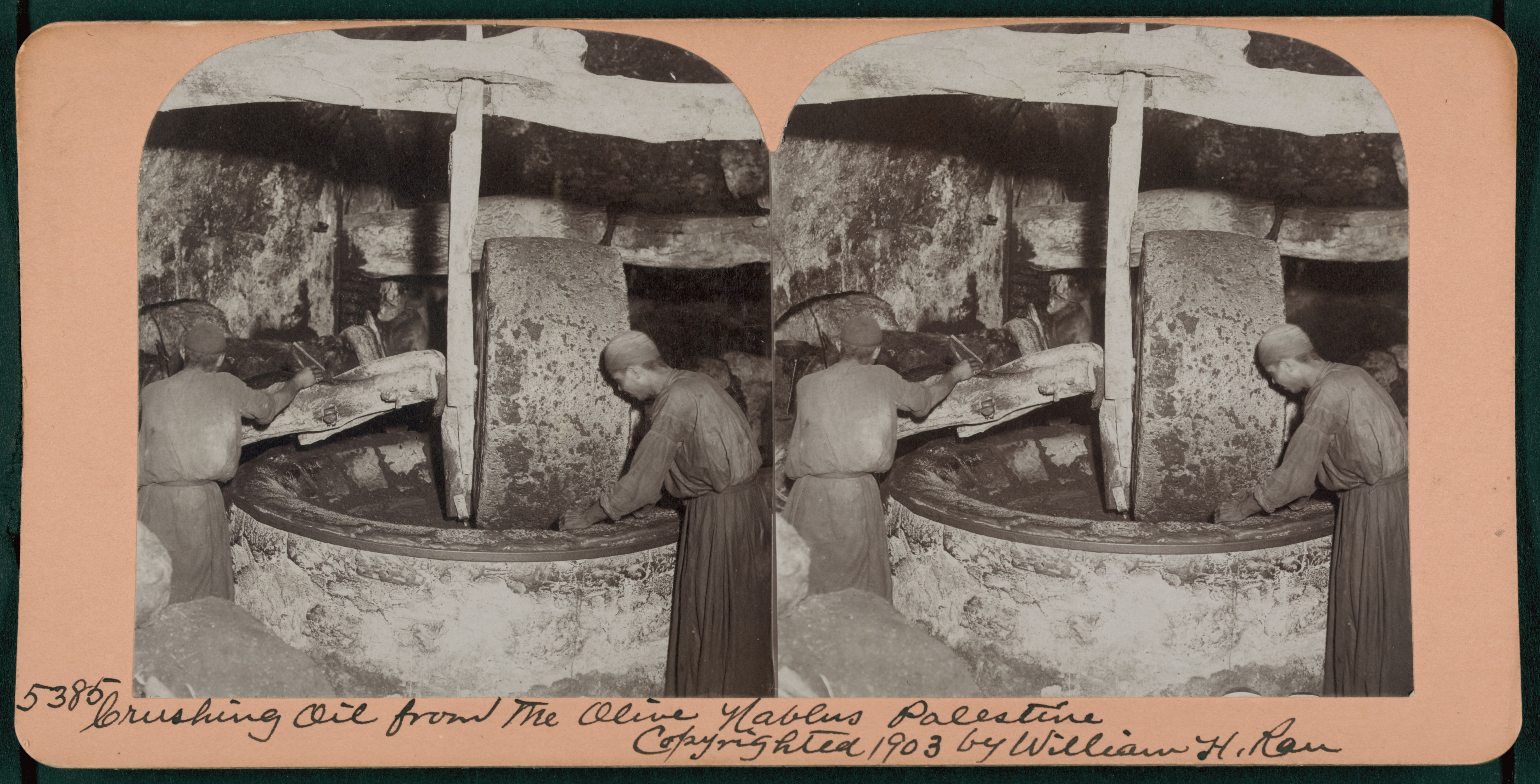Stereoscopic photograph of men crushing olives for oil in Nablus, Palestine, 1903.