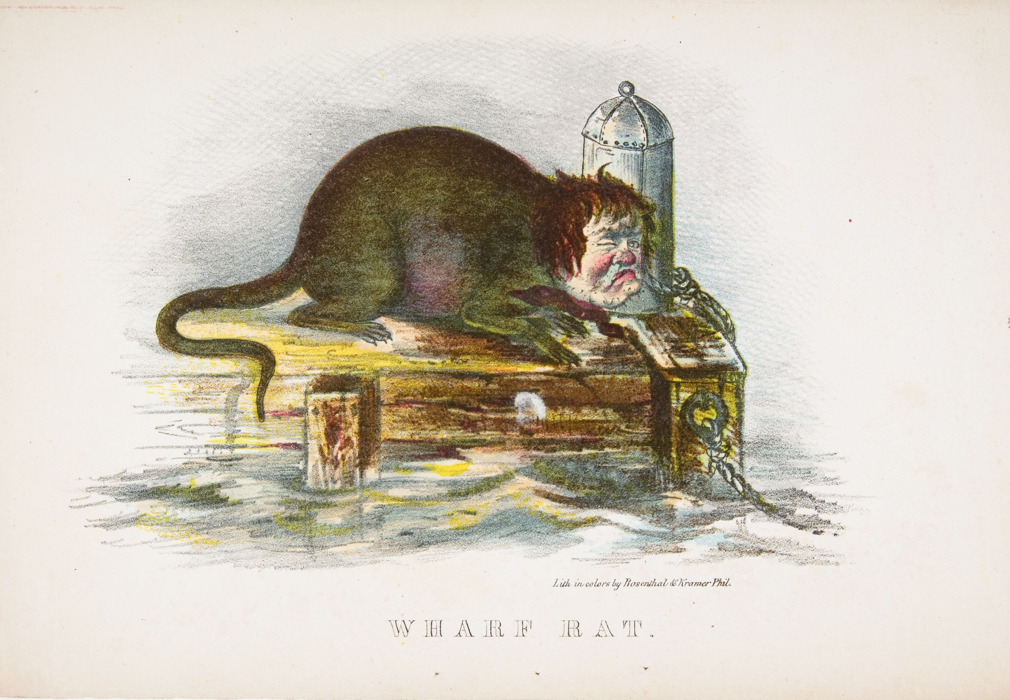 Vintage illustration of a wharf rat with a man's face emerging from its back, sitting on a table surrounded by water.