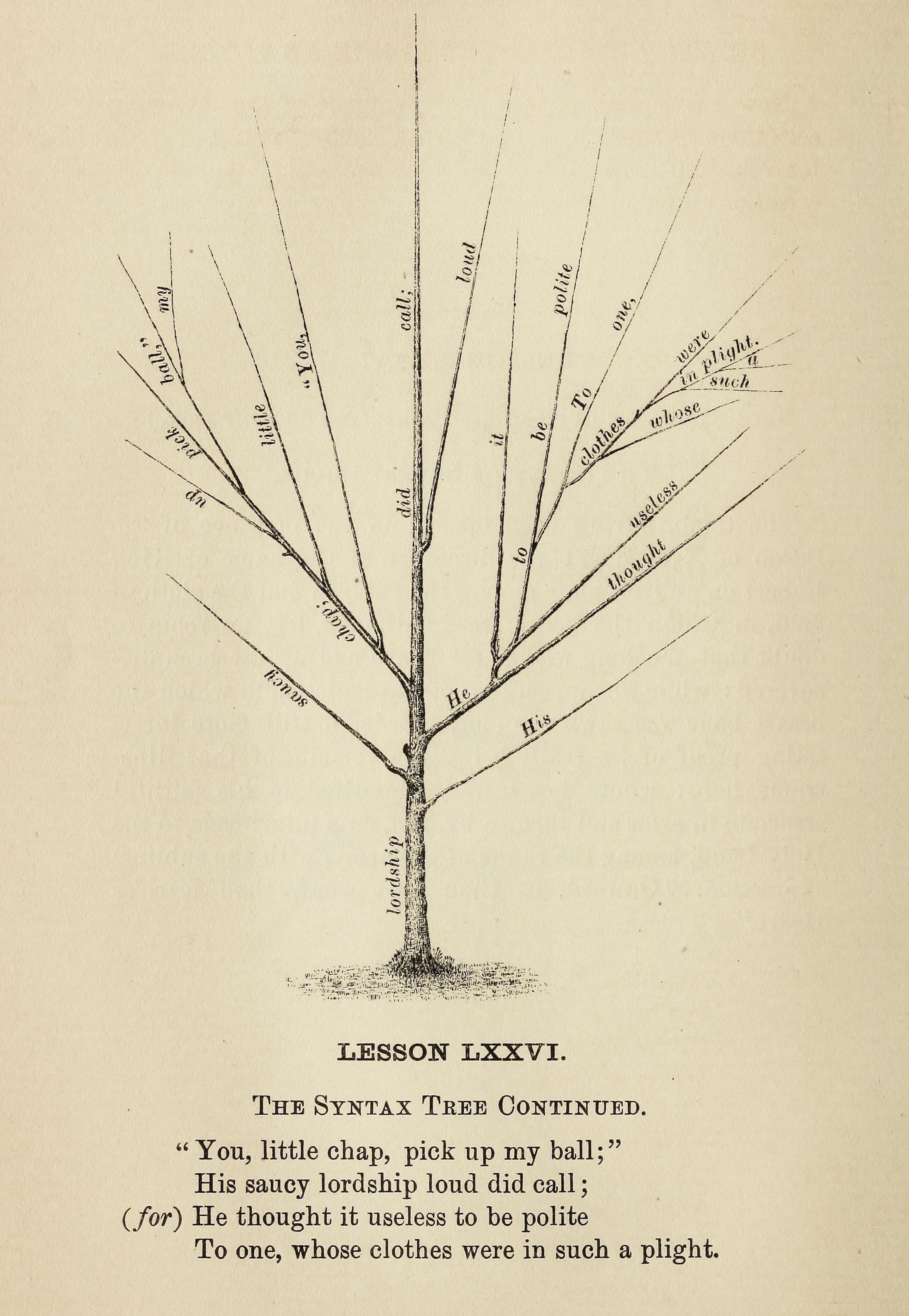 Vintage illustration of a syntax tree with words as leaves, representing a sentence structure.