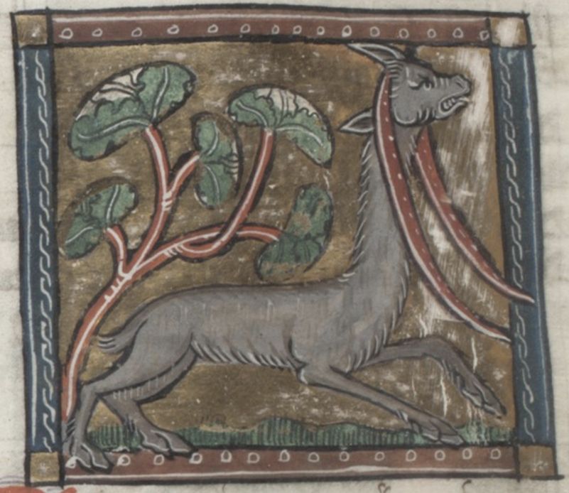 Medieval illustration of a fantastical goat-like creature with long horns running among stylized plants, framed by a decorative border.