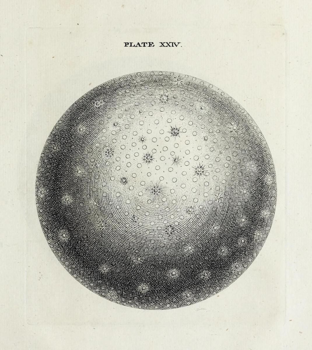 Vintage illustration of the moon with craters.