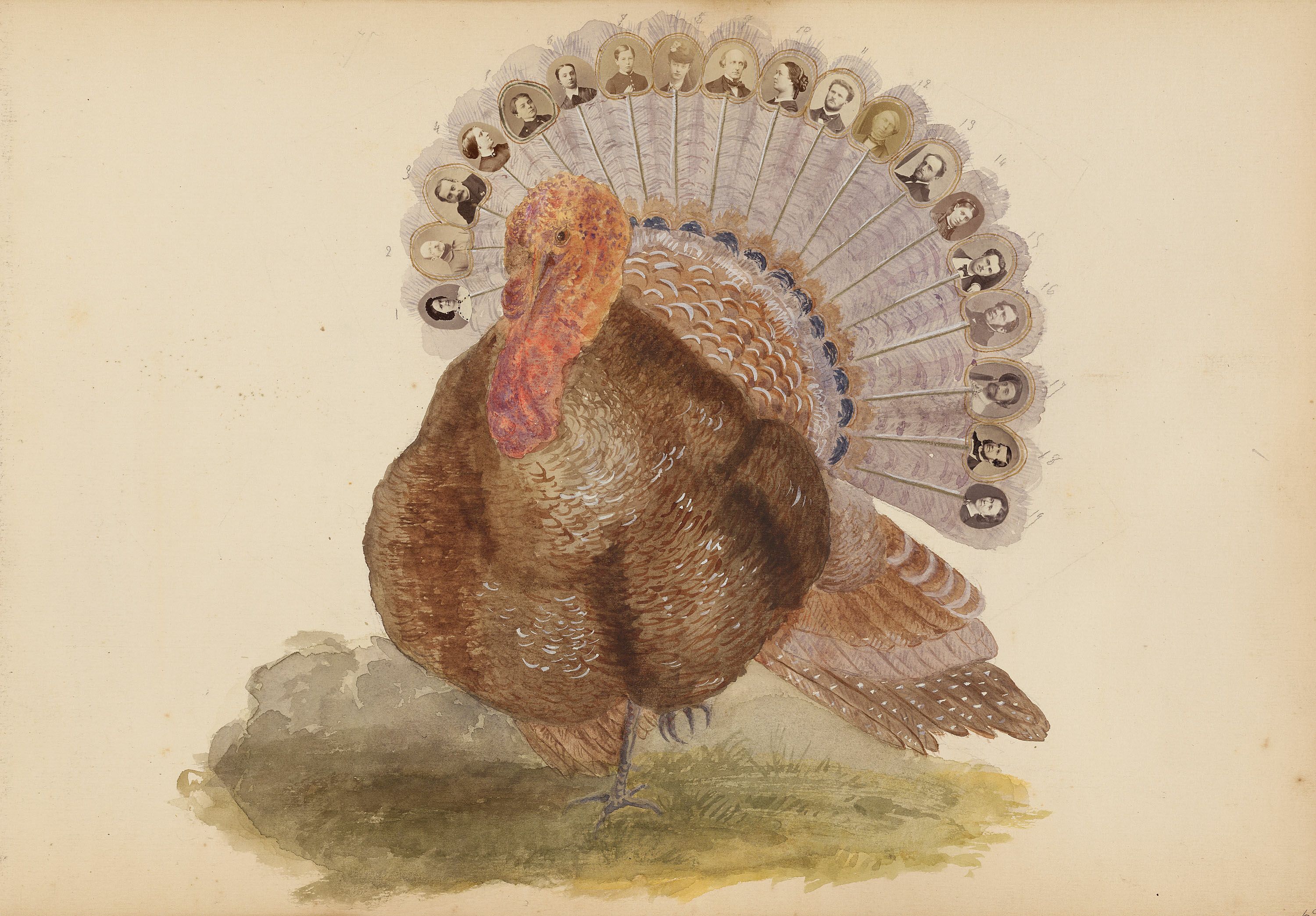 Vintage illustration of a turkey with portraits on its tail feathers.