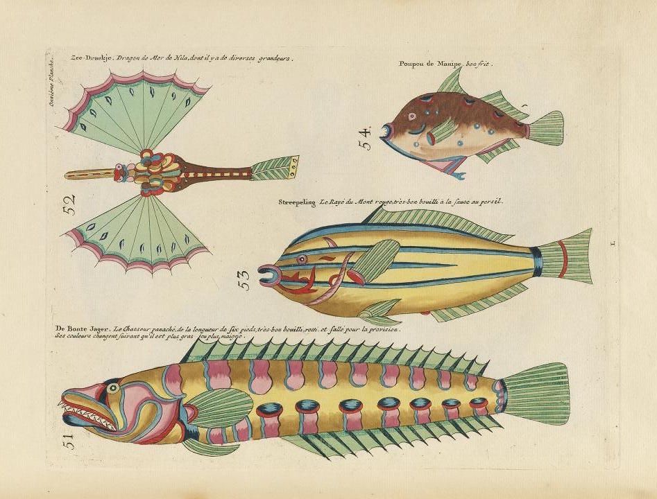 A vintage illustration of four fantastical fish, each with unique colors and patterns, labeled with numbers and French text.