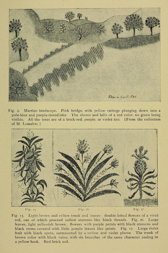 Vintage illustration of a Martian landscape with a pink bridge and three detailed botanical illustrations of plants with red flowers, purple leaves, and violet fruit.