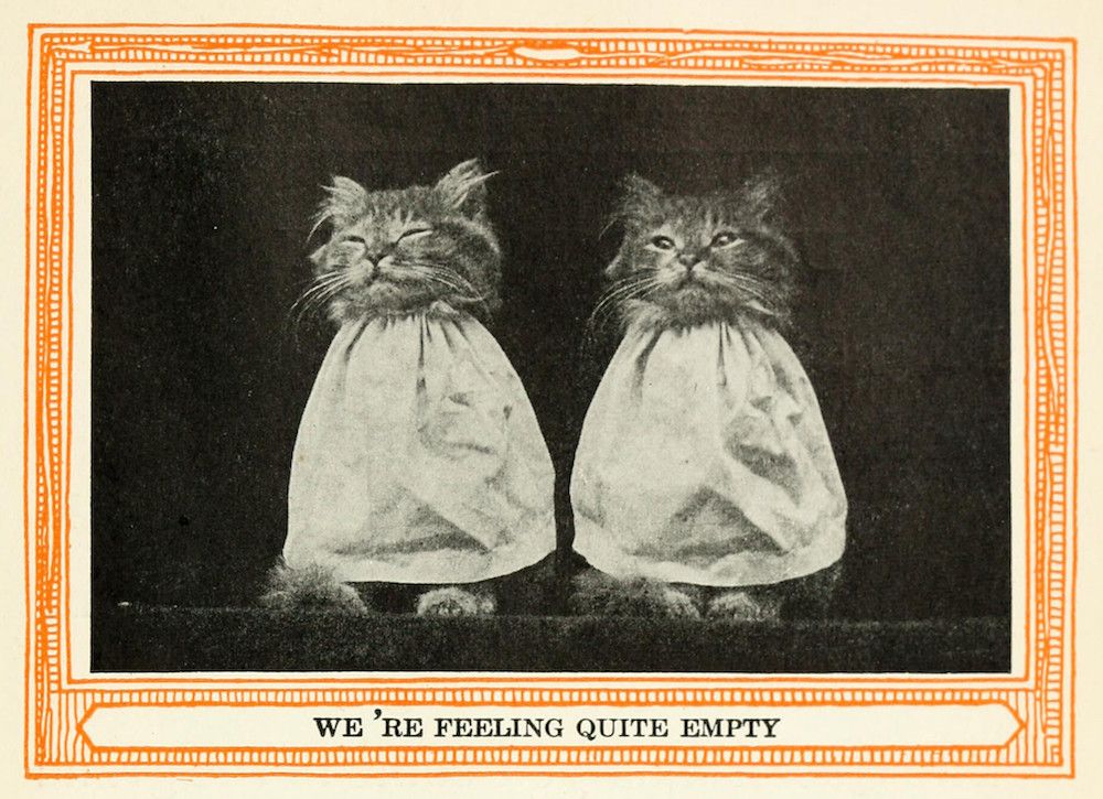 A vintage black and white photograph of two kittens dressed in white dresses, looking sad, with the caption 'WE'RE FEELING QUITE EMPTY'.